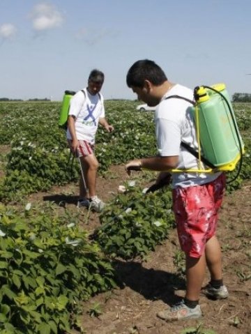 <p>
	<em>Мярката, насочена към млади фермери, е сред най-атрактивните&nbsp; Снимка: БТА</em></p>
