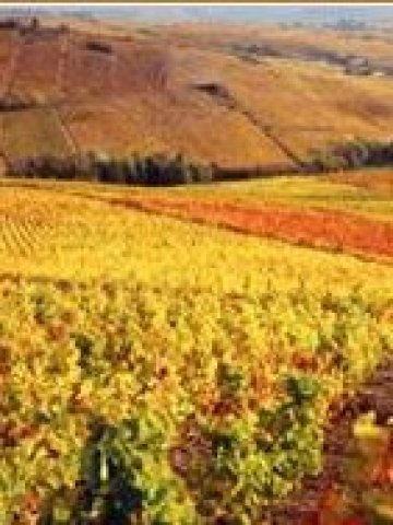 <p>
	<em>Снимка: agrofinance.bg</em></p>
