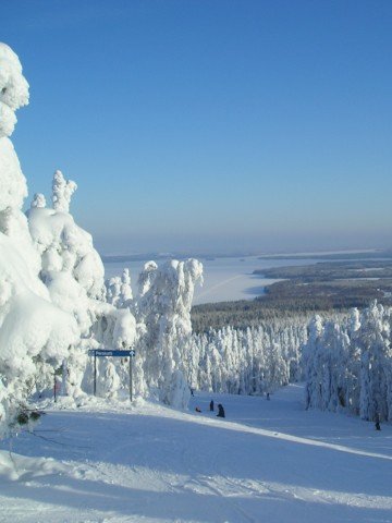 <p>Ски спускането може да бъде разтоварващо и да позволява на човек не само да поспортува, но и да се наслади на природата. Снимка: Flickr</p>