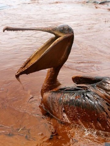 <p>
	BP оцени разходите, свързани с екокатастрофата, включително наложените глоби, на 41 млрд. долара. <em>Снимка: Ройтерс</em></p>
