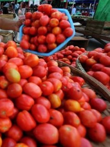 <p>
	<em>Снимка: gettyimages.com</em></p>
