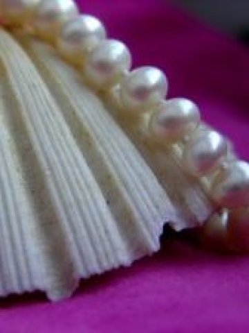 Снимка: Sxc.hu