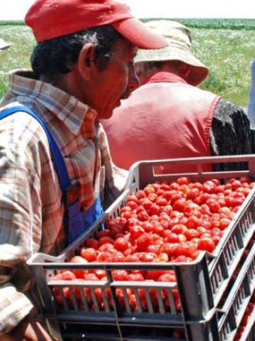 <p>
	<em>Снимка: БТА</em></p>
