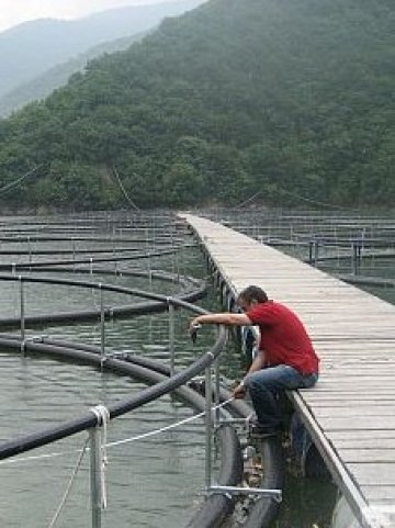 <p>
	Снимка: ДФЗ</p>
