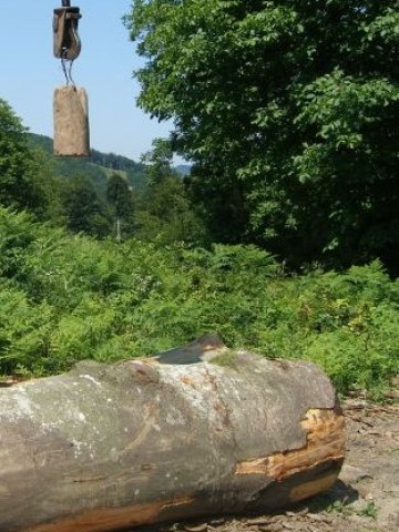 <p>
	Бизнесът настоява за прозрачност при продажбата на дървесината &nbsp; &nbsp; &nbsp; &nbsp; &nbsp; &nbsp; Снимка: БТА</p>
