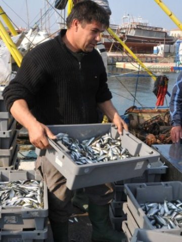 <p>
	<em>С евросредствата се очаква да бъдат модернизирани редица рибарски пристанища по морето</em> &nbsp; &nbsp; &nbsp; &nbsp;Снимка: БТА</p>
