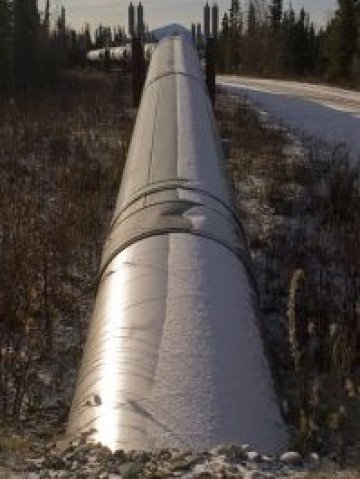 <p>
	Снимка: sxc.hu</p>
