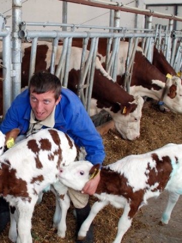 <p>
	За последните години се наблюдава окрупняване на стопанствата</p>
<p>
	Снимка: БТА</p>
