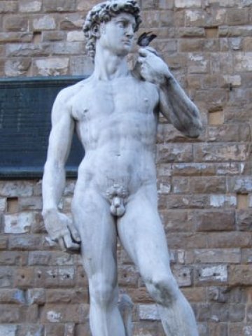 Давид на Микеланджело предизвика сериозни спорове за това в кой музей трябва да бъде съхраняван. 