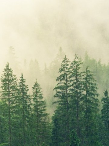 <p>
	Снимка: Pixabay</p>
