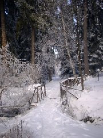 Чистият въздух и красивата природа са сред основните предимства на Боровец. Снимка: Investor.bg