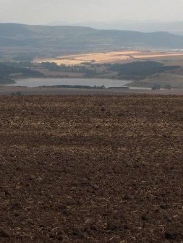 Сеитба в Североизточна България. Снимка: Investor.bg