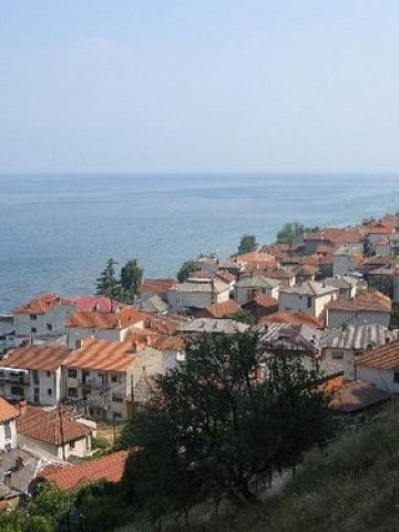 <p style="margin-bottom: 0cm">
	Радожда. <em><span lang="bg-BG">Снимка: </span><span lang="en-US">vesnickamarkoska, </span><span lang="bg-BG">лиценз: </span><a href="http://creativecommons.org/licenses/by/2.0/" target="_blank"><span lang="en-US">Creative Commons</span></a></em></p>
