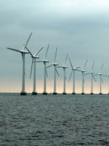 <p>
	Снимка:sxc.hu</p>
