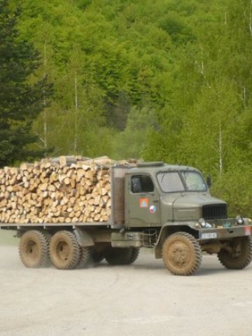 <p>
	Годишно в страната може да се добиват по 7 милиона кубически метра дърва, от които реално се секат 4,5 млн. куб. м &nbsp; &nbsp; Снимка: Инвестор.бг</p>

