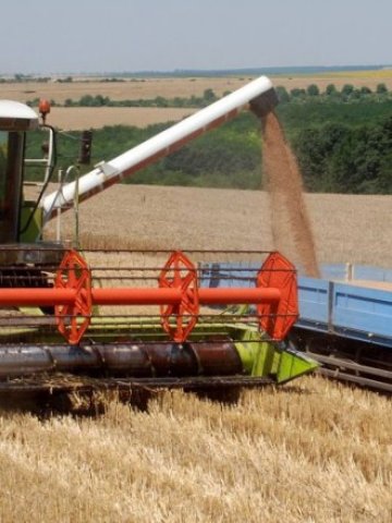 <p>
	<em>Договорите между арендатори и собственици на земя трябва да се сключат до първи октомври</em> &nbsp; &nbsp; &nbsp; &nbsp; &nbsp; &nbsp;Снимка: БТА</p>
