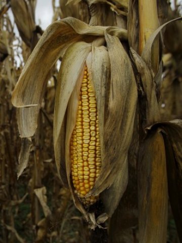 <p>
	<em>Снимка: Ройтерс</em></p>
