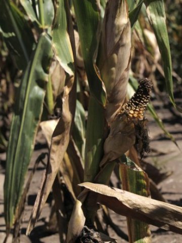 <p>
	<em>Снимка: Ройтерс</em></p>
