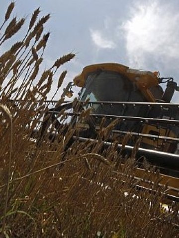 <p>
	Снимка: Ройтерс</p>
