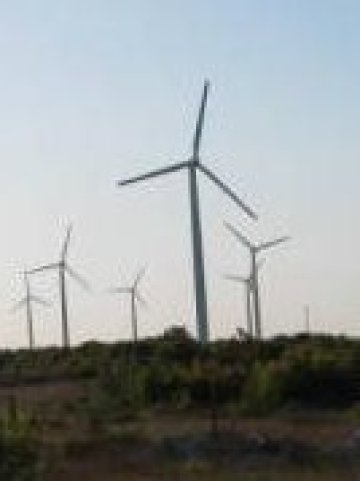 Вятърният парк край Калиакра. Снимка: Investor.bg