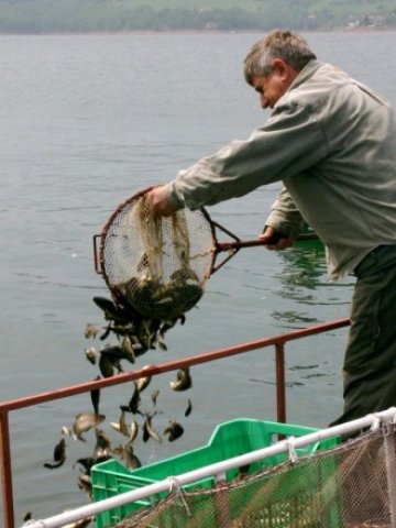 <p>
	Фермите за развъждане на сладководна риба са получили най-голямо финансиране от европейския фонд</p>
<p>
	Снимка: БТА</p>
