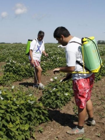 <p>
	<em>Субсидиите за млади фермери са изчерпани изцяло, затова администрацията предложи да се прехвърлят средства от неатрактивни мерки на програмата &nbsp;</em> &nbsp; &nbsp; &nbsp;Снимка: БТА</p>
