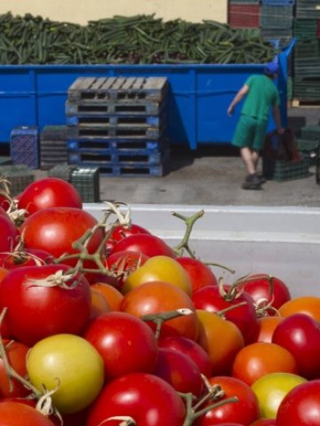 <p>
	Снимка: Ройтерс</p>
