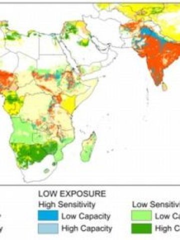 <p>
	<em>Снимка: CCAFS</em></p>
