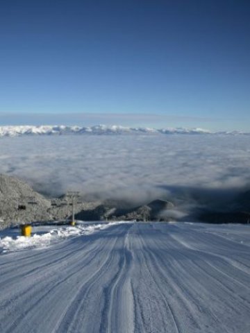 <p>
	<em>Въвеждат се облекчения за прокарването на ски писти върху горските терени &nbsp;Снимка: БТА</em></p>
