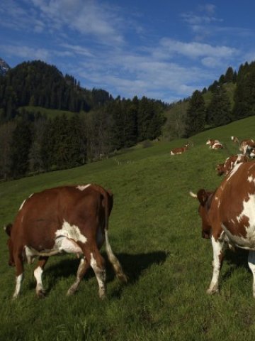 <p>
	Снимка: Reuters</p>
