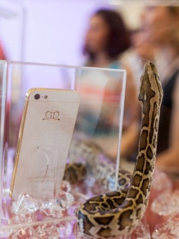 <p>
	Снимки: Мтел</p>
