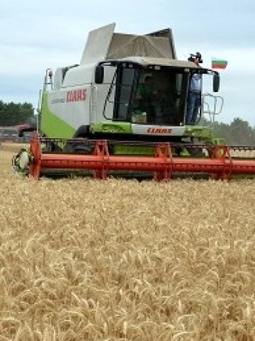 <p>
	Снимка: БТА</p>
