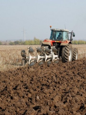 <p>
	<em>Собствениците на земеделски земи трябва до края на юли да подадат декларации дали ще ги обработват</em>. Снимка: БТА</p>
