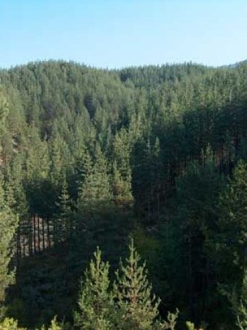 <p>
	Евросредствата за опазване на биоразнообразието тепърва се очаква да бъдат усвоявани &nbsp; &nbsp; Снимка: БТА</p>
