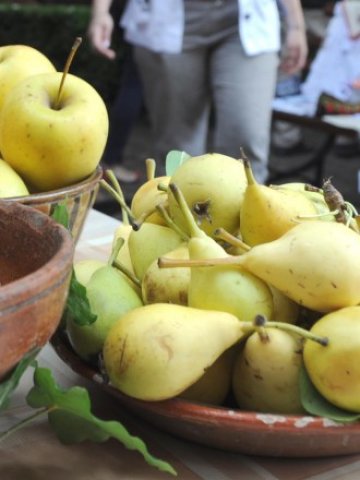 <p>
	<em>Земеделски производители се насърчават да предлагат плодове по тази схема</em> &nbsp; &nbsp;Снимка: БТА</p>
