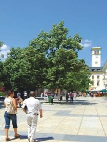 <p>
	Снимка: Община Сливен</p>
