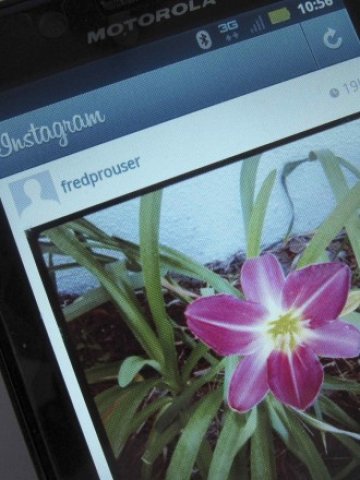 <p>
	<em>Снимка: Ройтерс</em></p>
