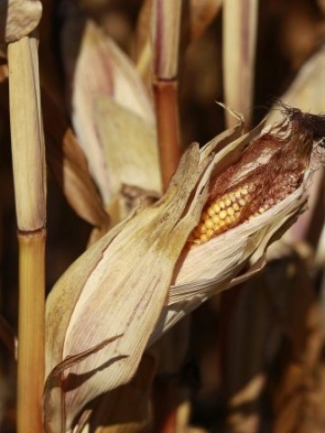 <p>
	<em>Снимка: Ройтерс</em></p>
