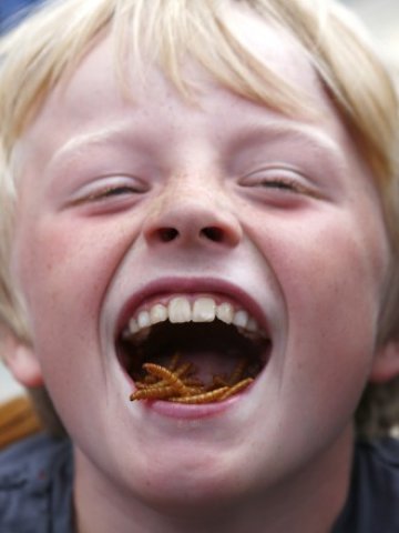 Насекомите - край на световния глад?