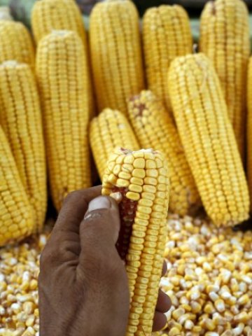 <p>
	Снимка: Ройтерс</p>
