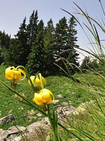 <p>
	Снимка: БТА</p>
