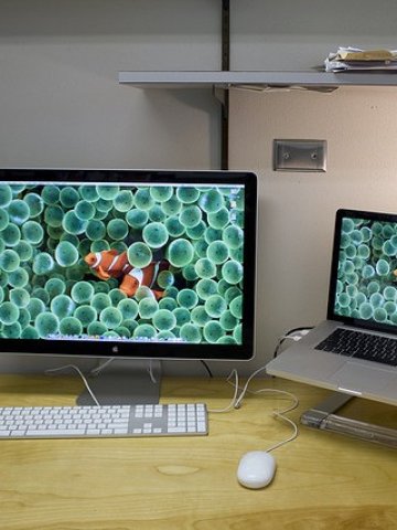 <p>Разнообразяването извън служебните задължения е добре за работоспособността на служителите, а и за работата на фирмата. Снимка: Flickr</p>