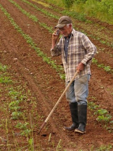 <p>
	<em>Снимка: freeimages.com</em></p>
