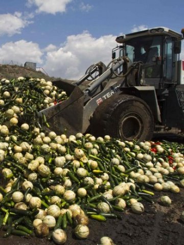 <p>
	Разчистване на застояла продукция в испанската провинция Алмерия. <em>Снимка: Ройтерс</em></p>
