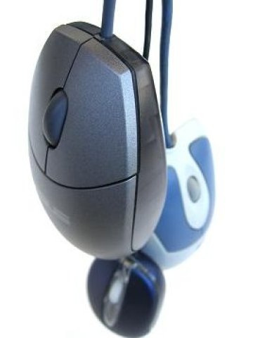 <p><i>Източник: sxc.hu</i></p>