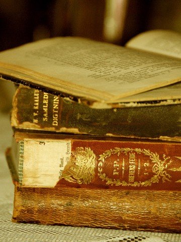 <p>Колекционирането на антикварни книги също е добра инвестиция.<i> Снимка: Lin Pernille Photography, лиценз: </i><a href="http://creativecommons.org/licenses/by/2.0/" target="_blank"><i><span lang="en-US">Creative Commons</span></i></a></p>