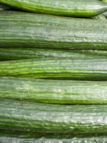 <p>
	Снимка: sxc.hu</p>
