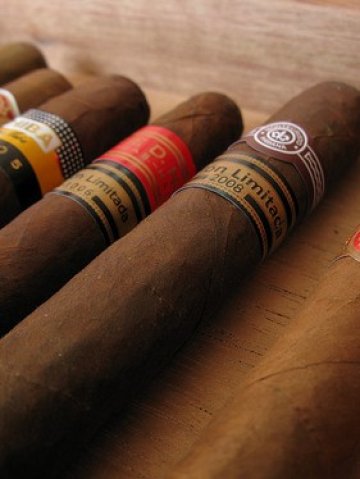 <p>Пурите се радват на особен интерес от страна на Китай и Близкия Изток. <i>Снимка: Flickr Лиценз: </i><a href="http://creativecommons.org/licenses/by/2.0/" target="_blank"><i>Creative Commons</i></a></p>