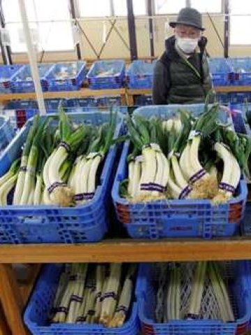 <p>Зеленчуци в магазин за хранителни стоки в префектура Фукушима на 70 км от авариралата АЕЦ Фукушима-1. <i>Снимка: Ройтерс</i></p>