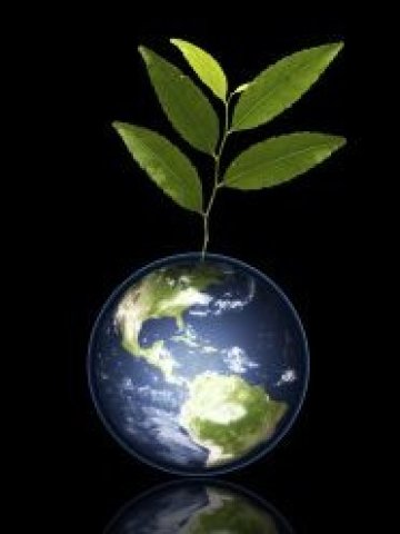 <p>Слънчевата енергия вече се е изравнила по цени с електроенергията на дребно в някои части от света. <i>Снимка: sxc.hu</i></p>